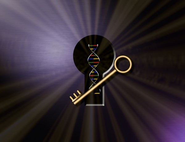 DNA Solution by Bruce Rolff